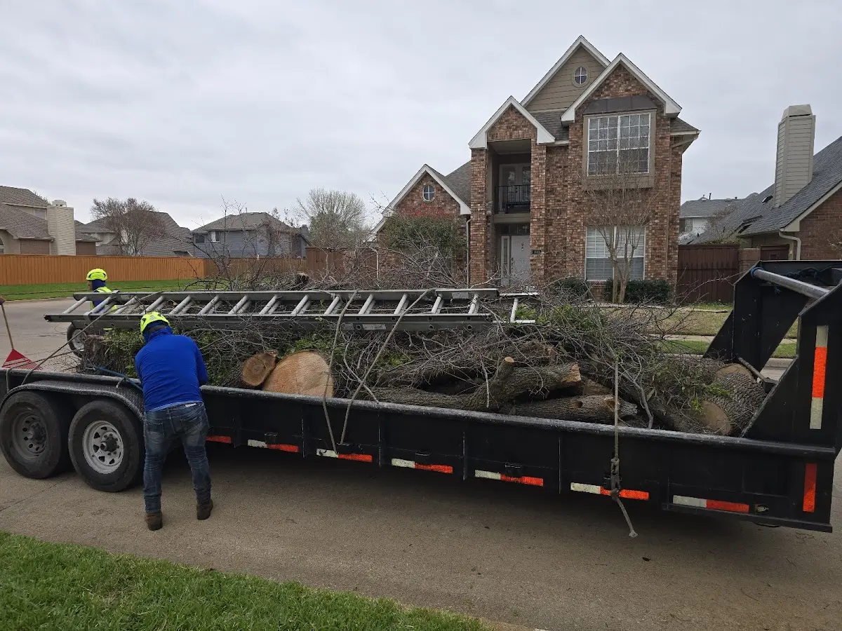 Expert Tree Fertilization with proper safety equipment in Everson